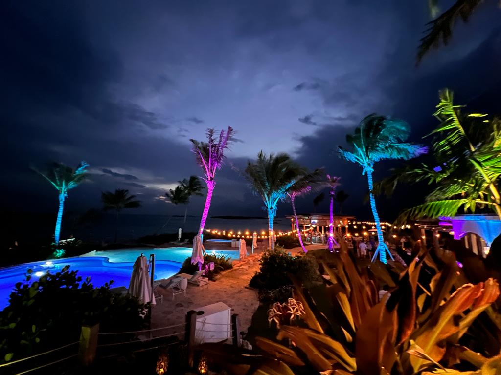 EZ Tech Lighting — pool and palm tree lighting